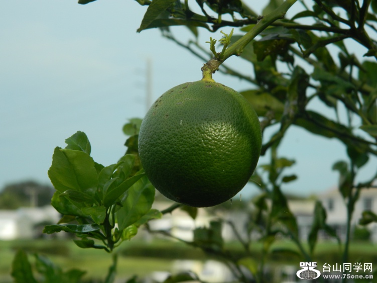 DSCN6977_.jpg