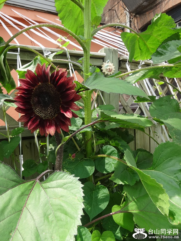 DSC03847_.jpg