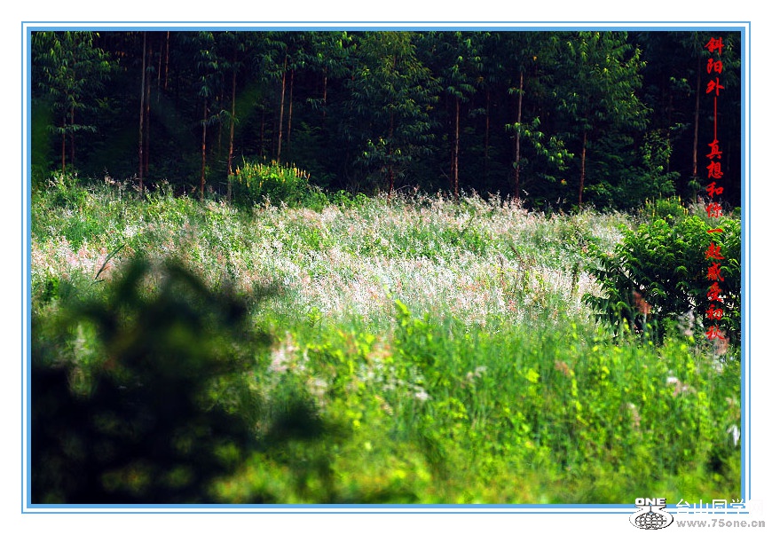 DPP_2015.8.150220_.jpg