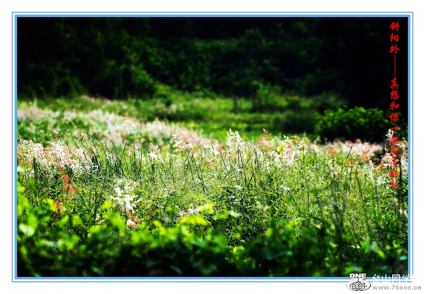 DPP_2015.8.150207_.jpg