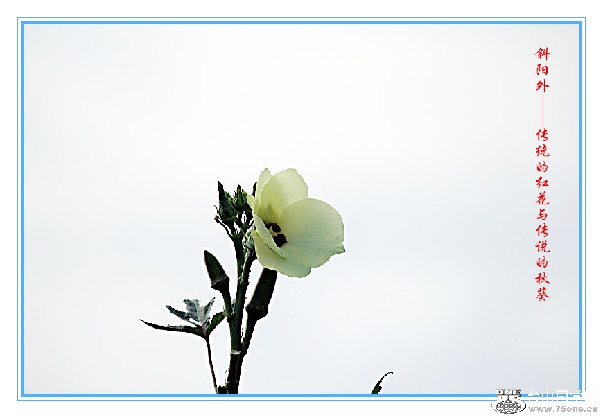 DPP_2015.8.150032_.jpg