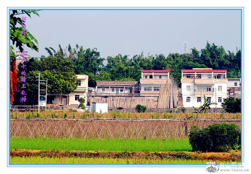 DPP_2015.8.150098_.jpg