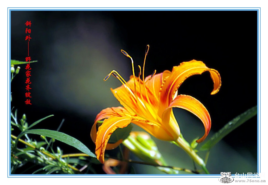 DPP_2015.8.20605__.jpg
