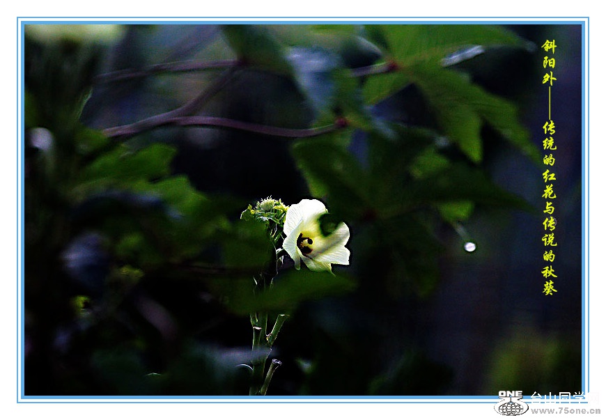 DPP_2015.8.150039_.jpg
