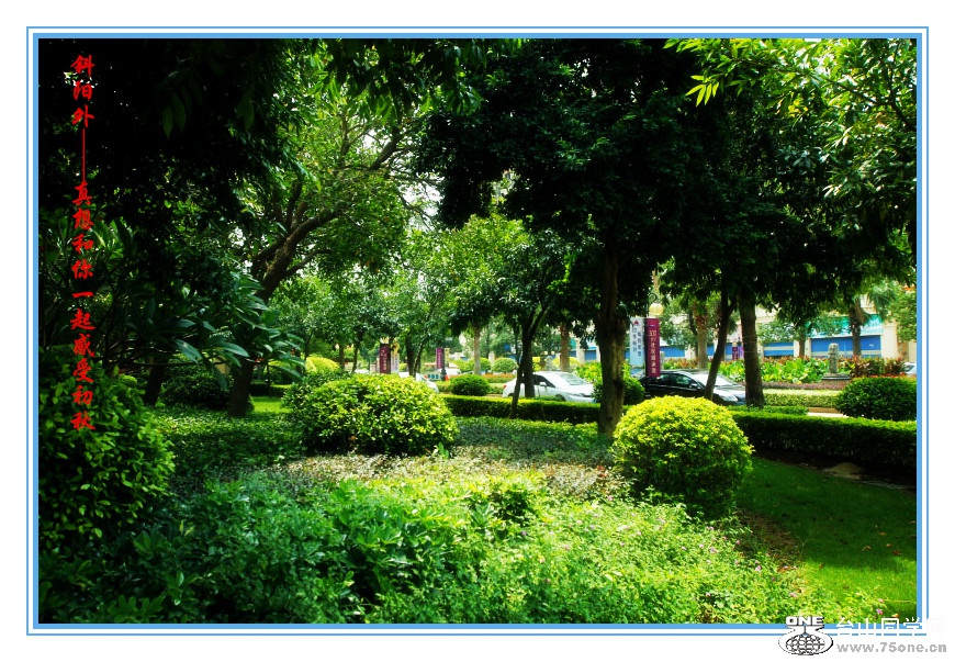 DPP_2015.8.150345_.jpg