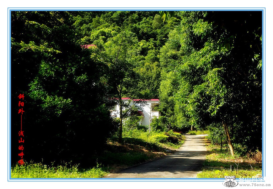 DPP_2015.8.20582__.jpg