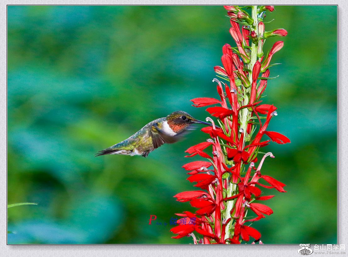 �}�u -8-2-15-���B 092-5.jpg