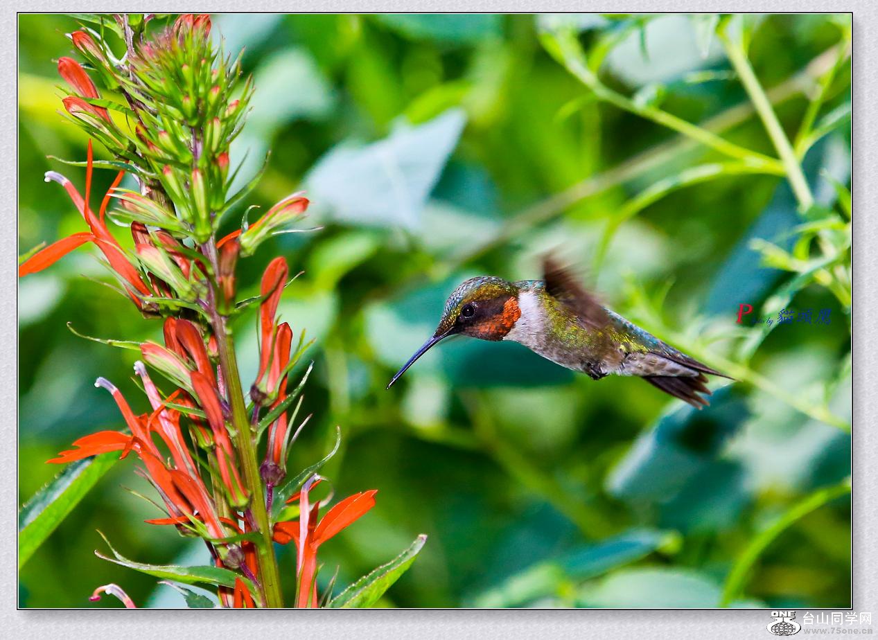 �}�u -8-2-15-���B 011-4.jpg