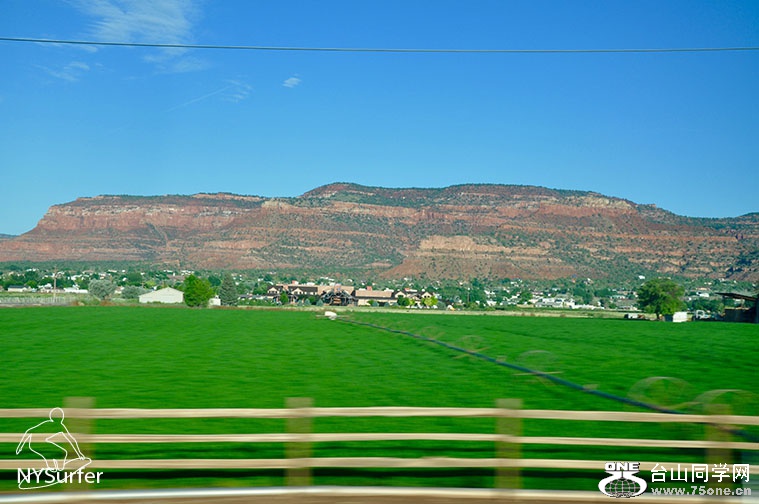 DSC_0194.jpg