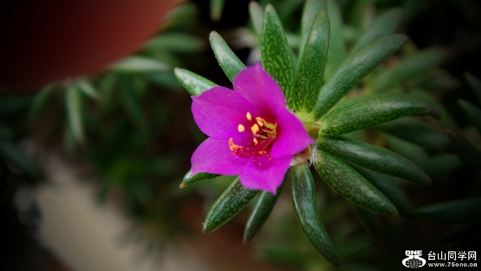 DSC02802_.jpg
