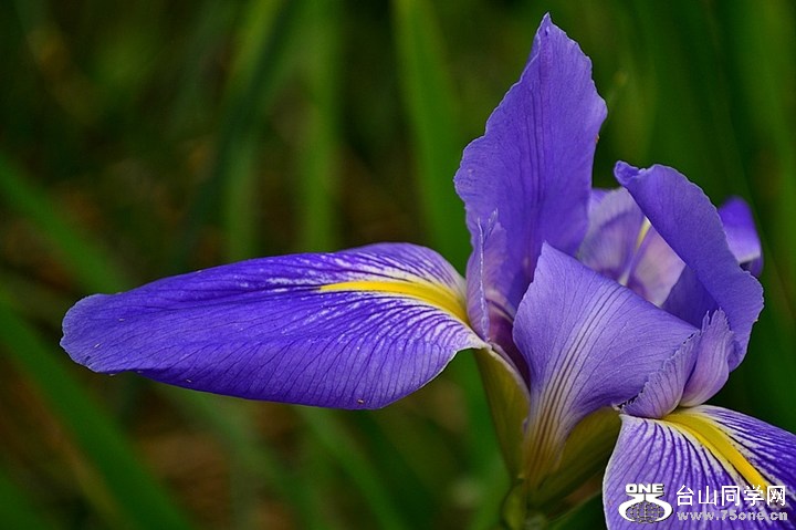 f69c716394894a028ba5cf917939effa_720_0_max_jpg.jpg