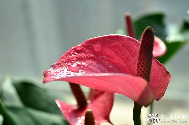 ec08f30ad15746cf9c3d9da7ed80eb4e_720_0_max_jpg.jpg