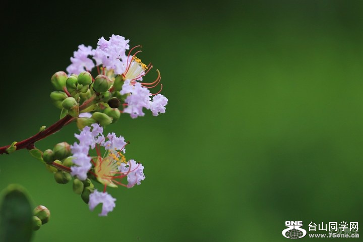 53200cedae7741dea30f346013b7b328_720_0_max_jpg.jpg