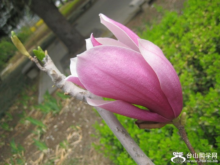 ee500d8f5c7a4f5993d8ce462fec9aa2_720_0_max_JPG.jpg