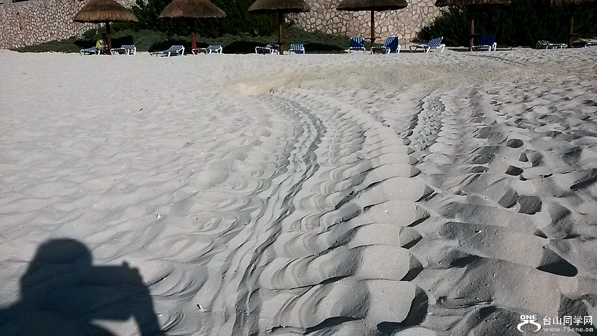 20150803_080619.jpg