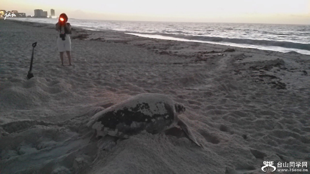 20150807_055826_LLS_.jpg