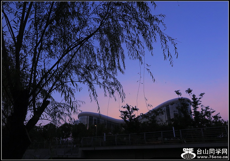 IMG_2911.JPG
