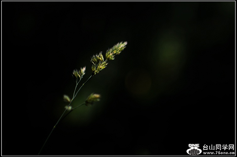 DSC_7643.JPG