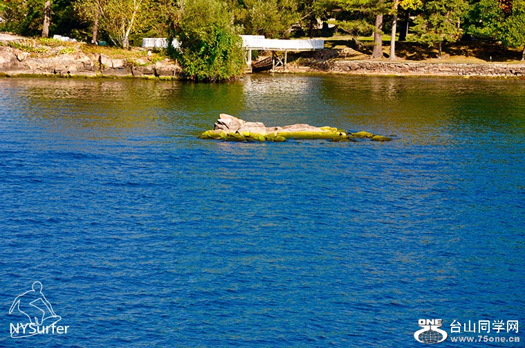 DSC_0351.jpg