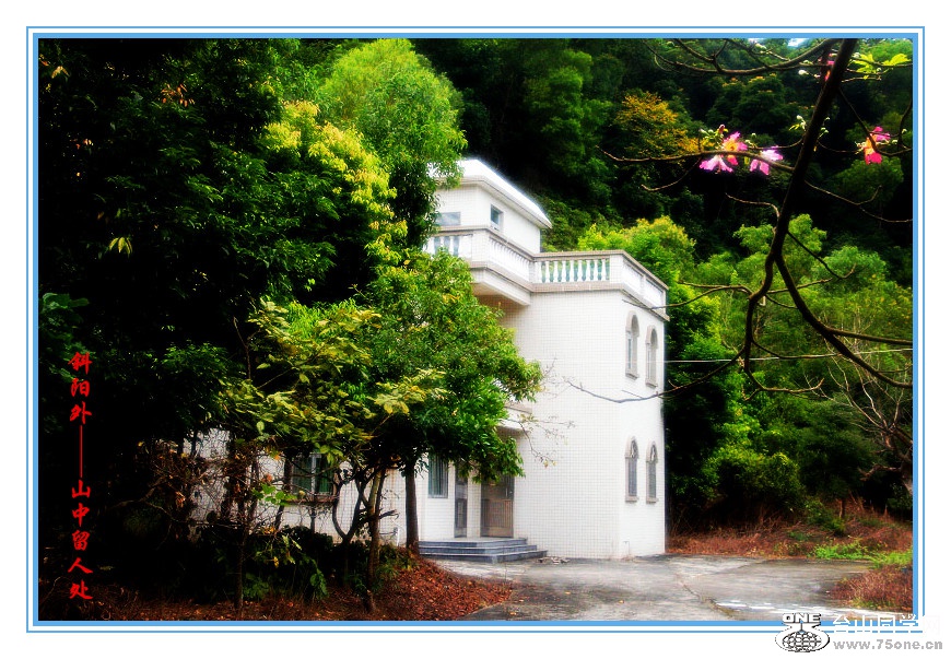 DPP_2015.9.140530_.jpg