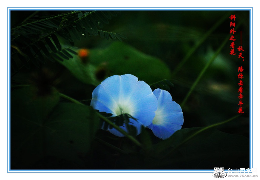 DPP_2015.9.140128_.jpg