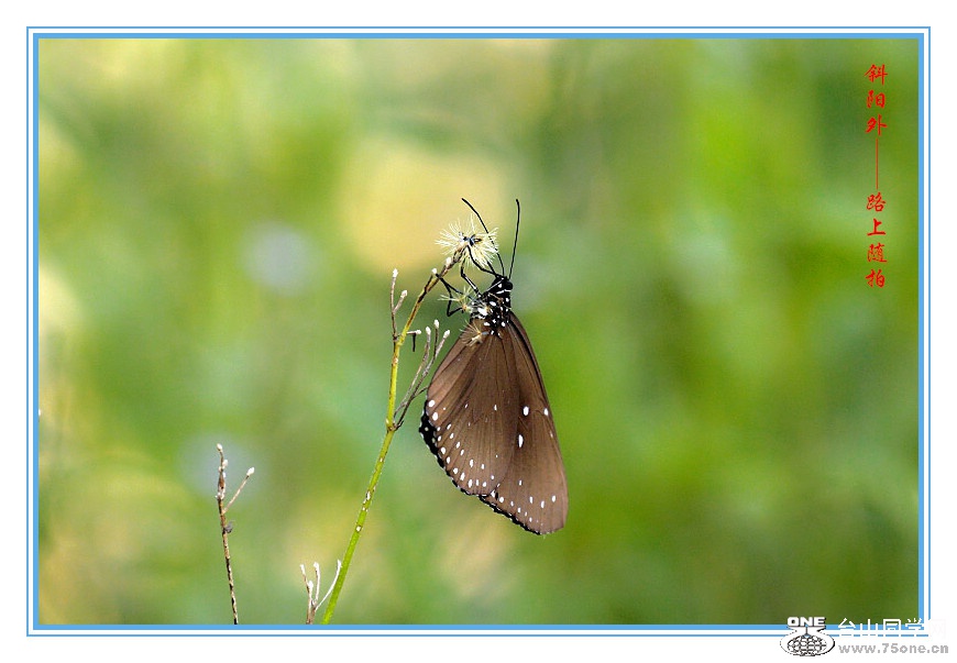 DPP_2015.8.20416_.jpg