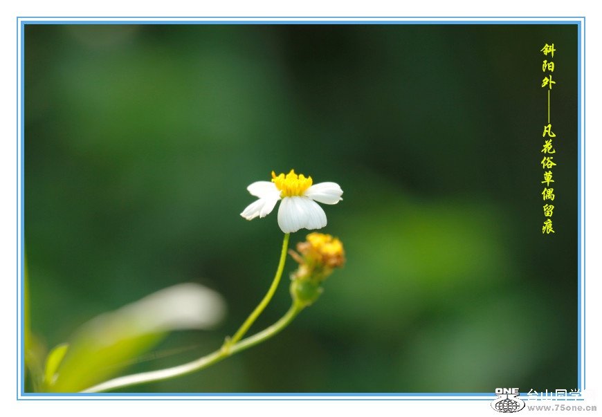 DPP_2015.8.150244_.jpg