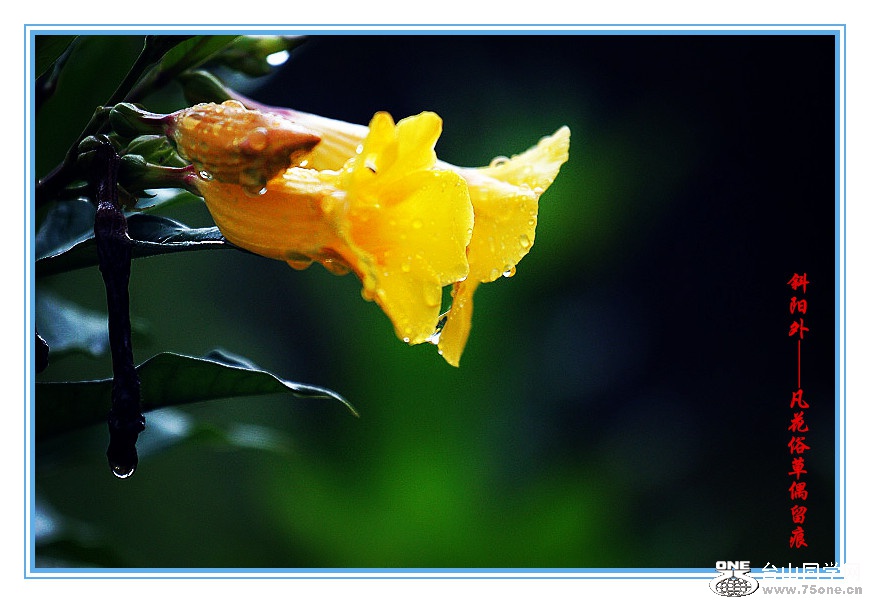 DPP_2015.8.150137_.jpg