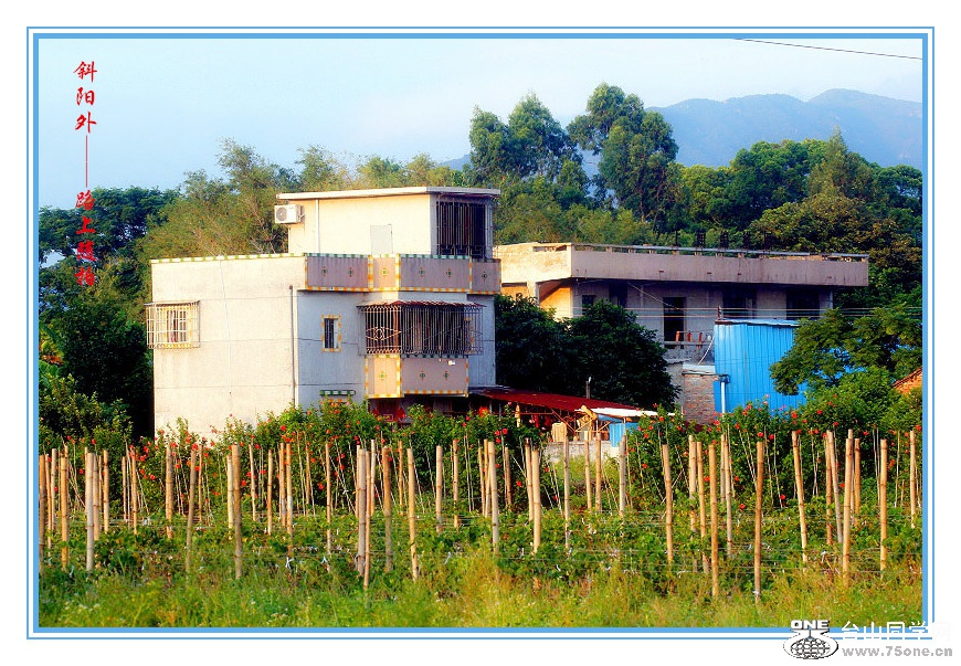 DPP_2015.8.150122__.jpg