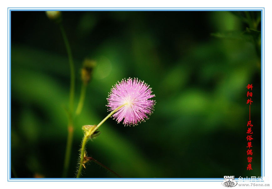 DPP_2015.8.150241_.jpg
