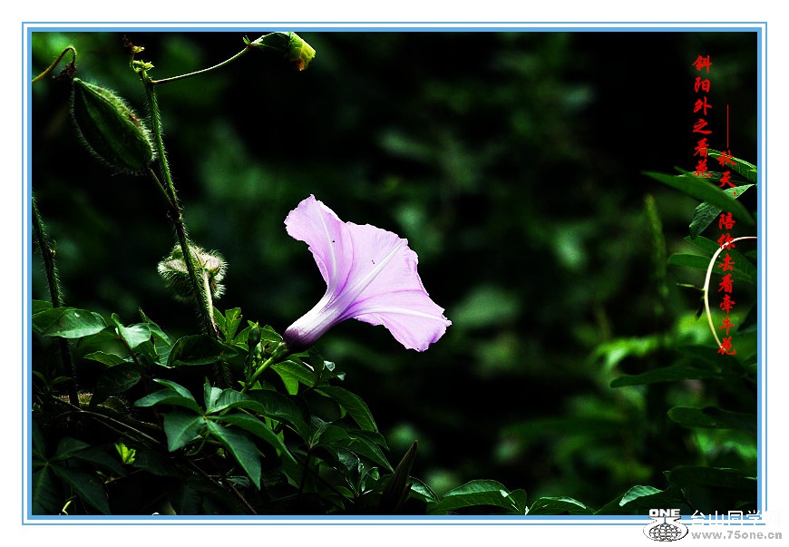 DPP_2015.9.140259_.jpg
