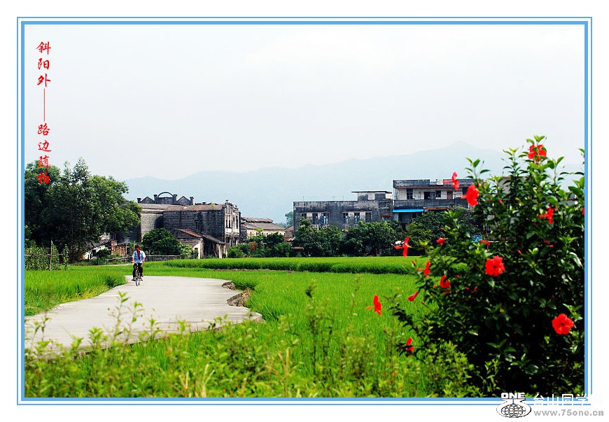 DPP_2015.9.140160_.jpg