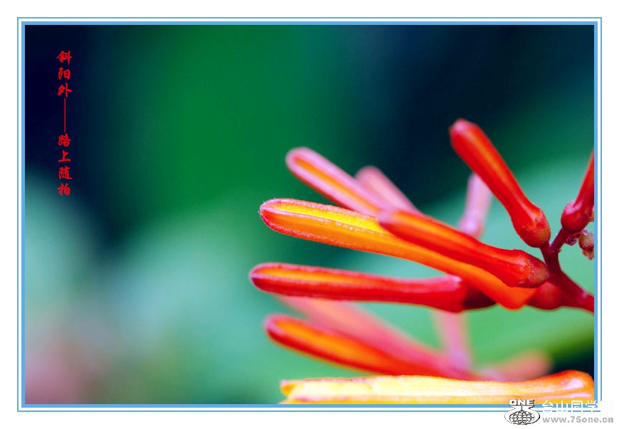DPP_2015.8.20663_.jpg