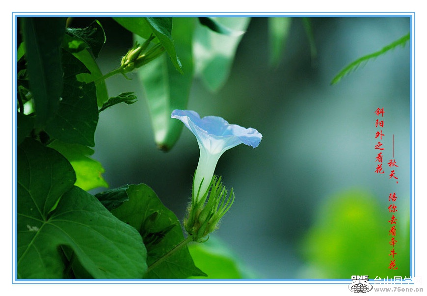 DPP_2015.9.140143_.jpg