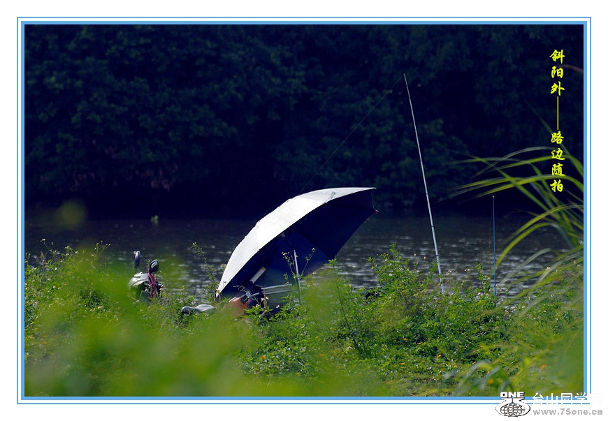DPP_2015.9.140037_.jpg