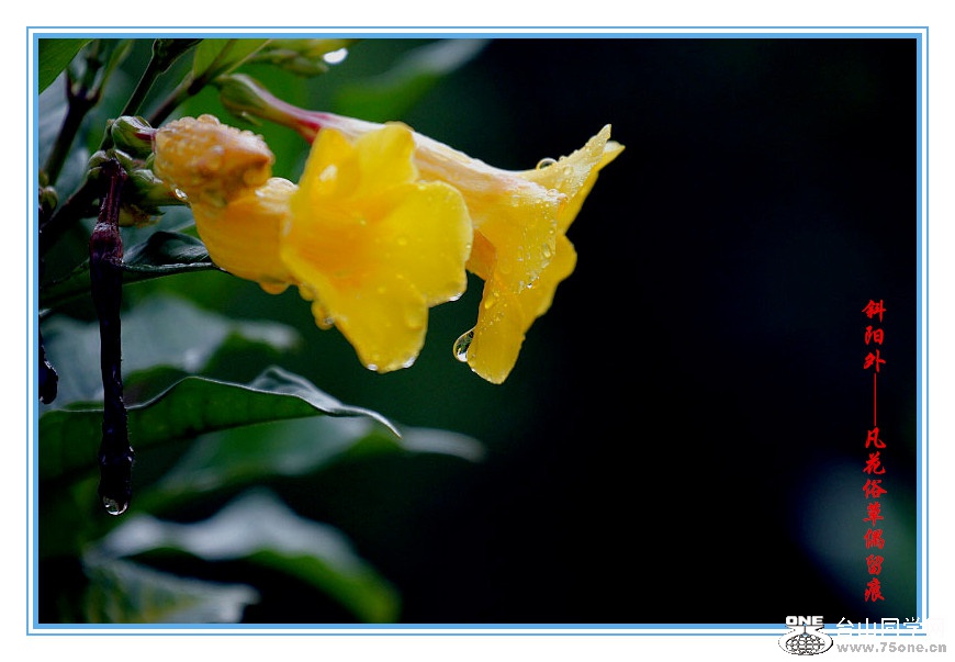 DPP_2015.8.150126_.jpg