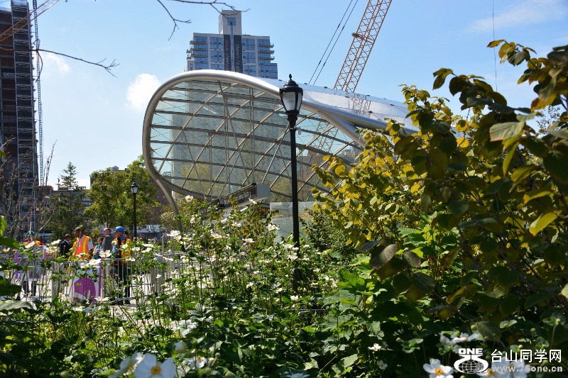 RON_8333 (800x533).jpg