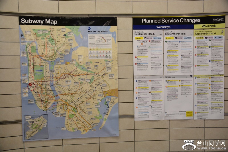 RON_8409 (800x533).jpg