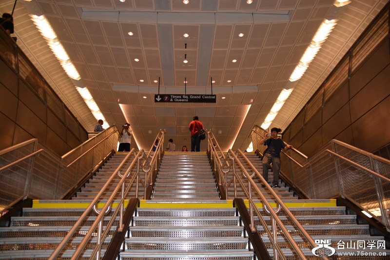 RON_8396 (800x533).jpg