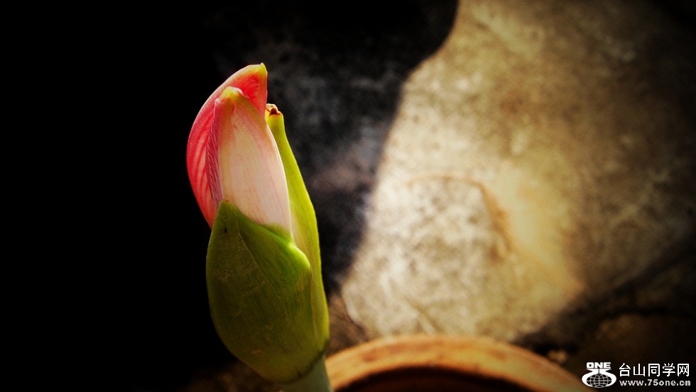 DSC02977___.jpg