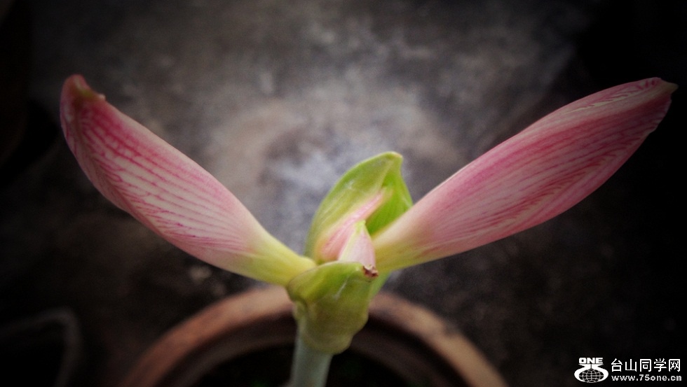 DSC02995_.jpg
