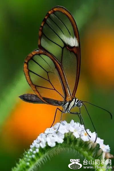 640 (14).jpg