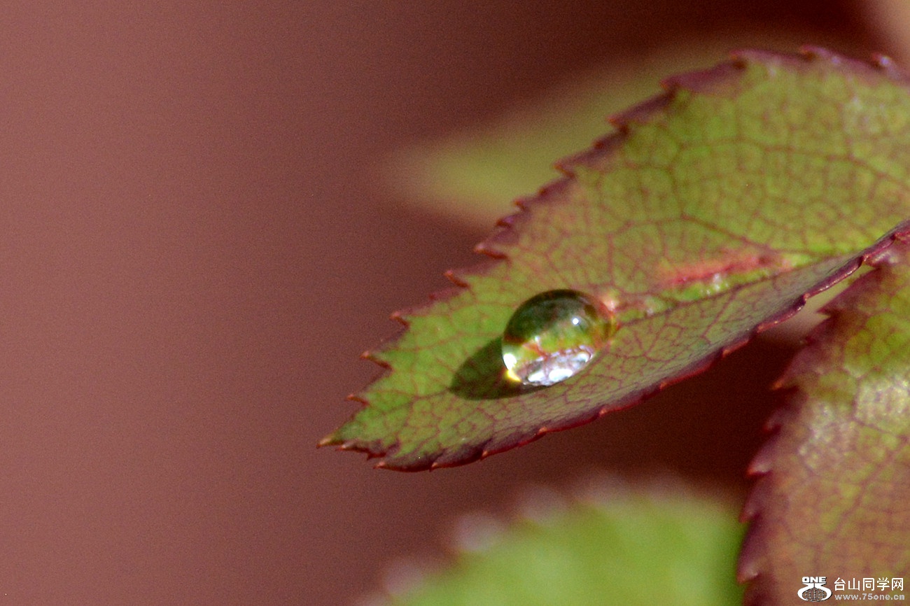 DSC_9744_7.jpg