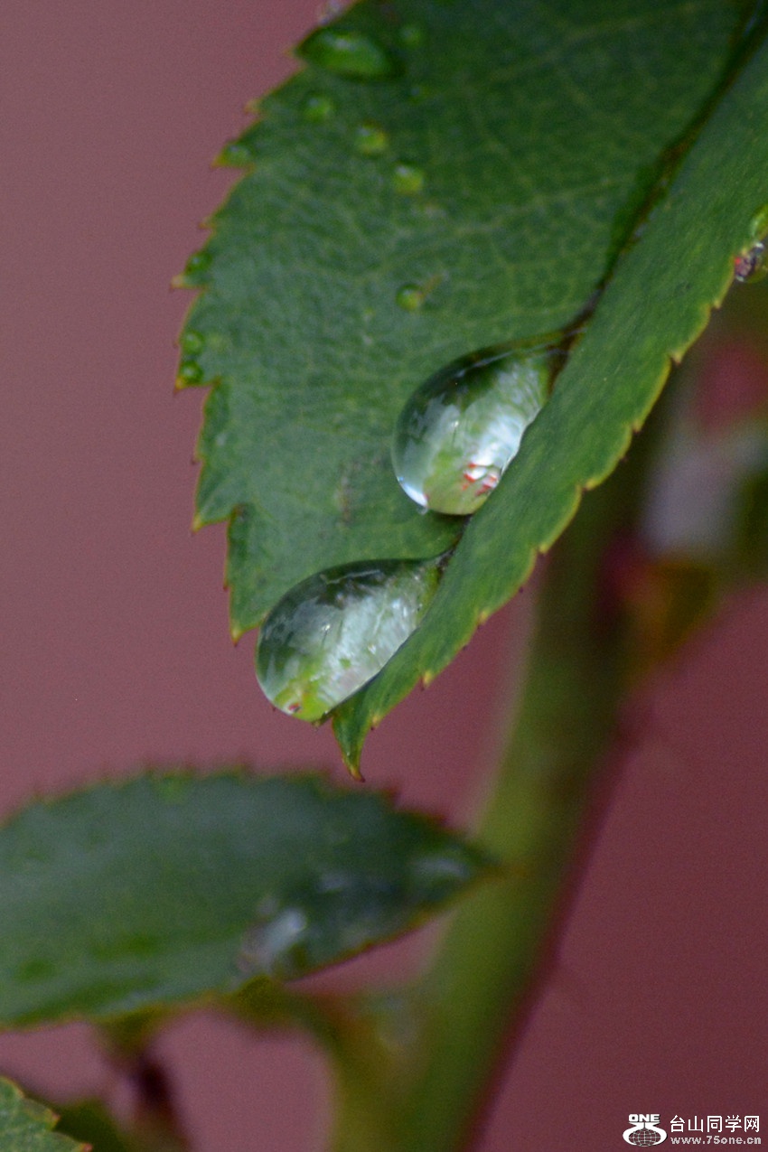 DSC_9710_11.jpg