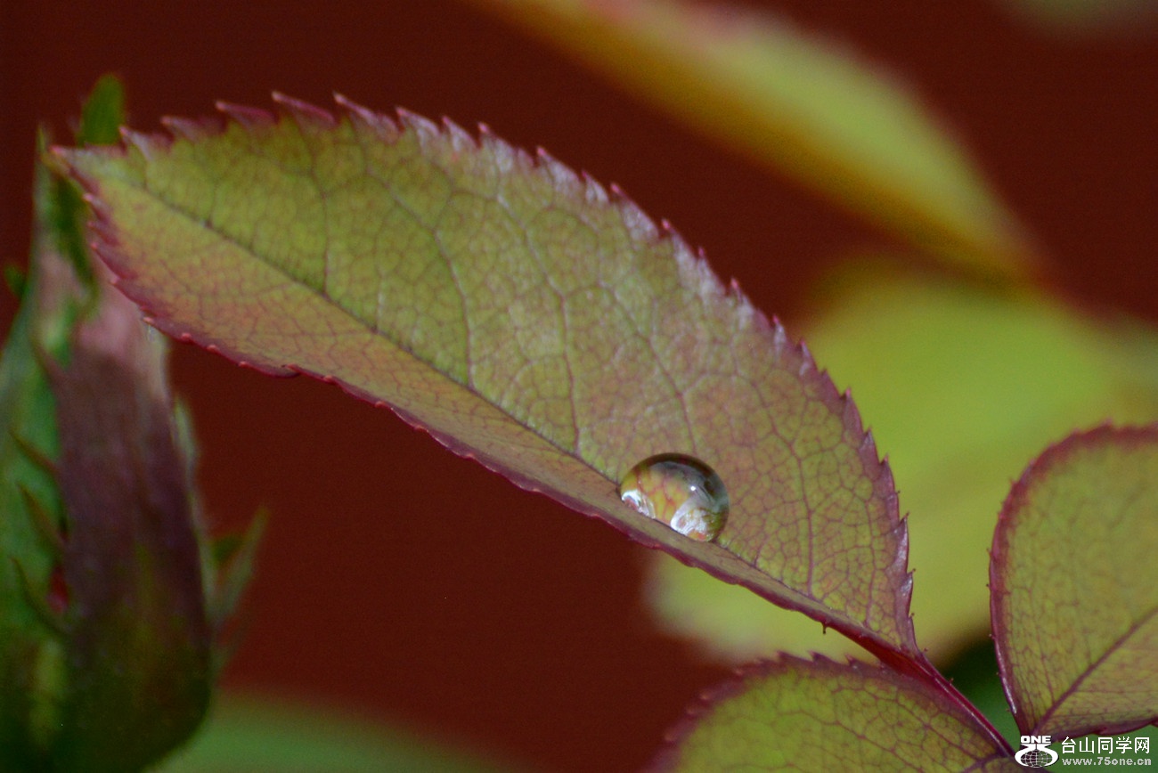 DSC_9760_6.jpg
