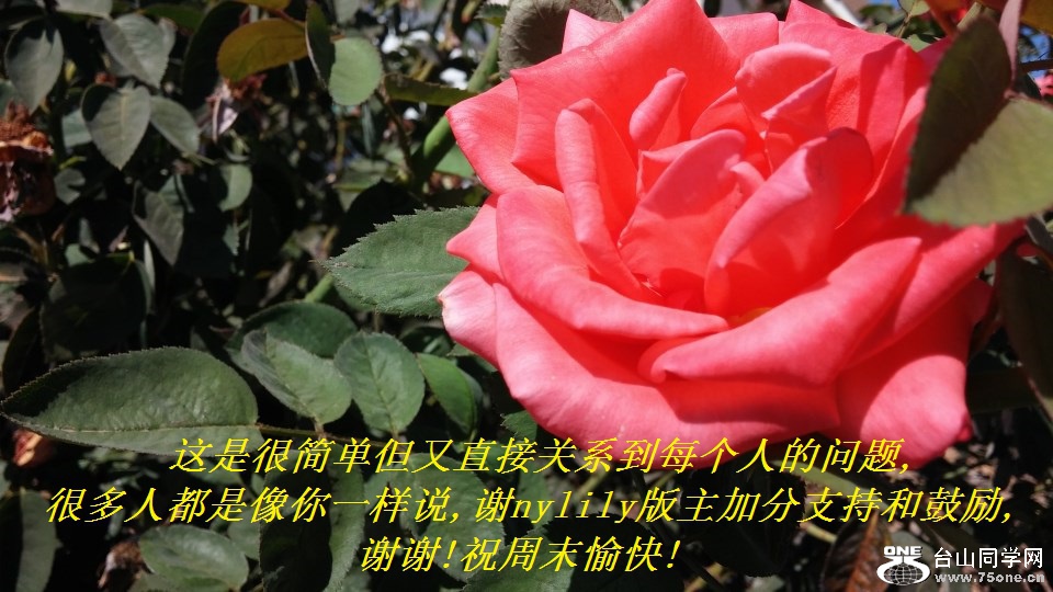 Ǻܼ򵥵ֱӹϵÿ˵,ܶ˶һ˵,лnylilyӷֺ֧͹,лл!ףĩ