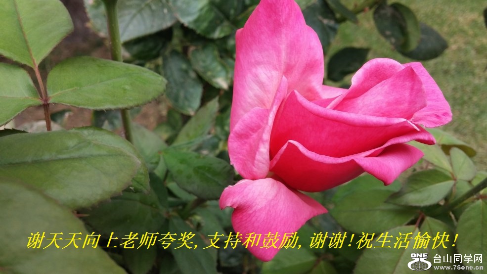 лʦ佱,ֺ֧͹,лл!ף!.jpg