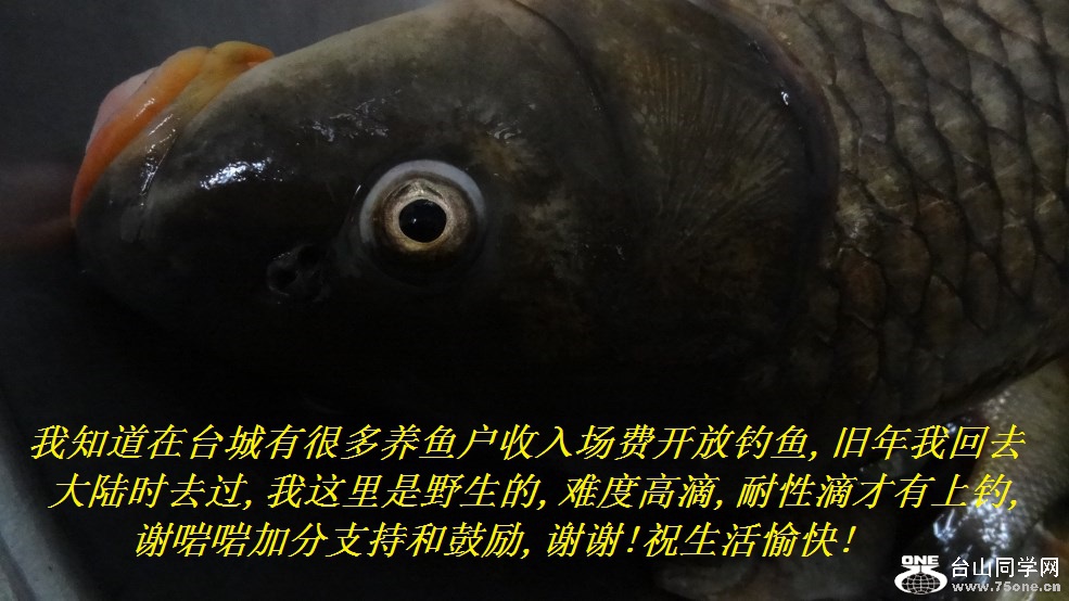 ̨֪кܶ㻧볡ѿŵ,һȥ½ʱȥ,Ұ,Ѷȸߵ,Եβϵ