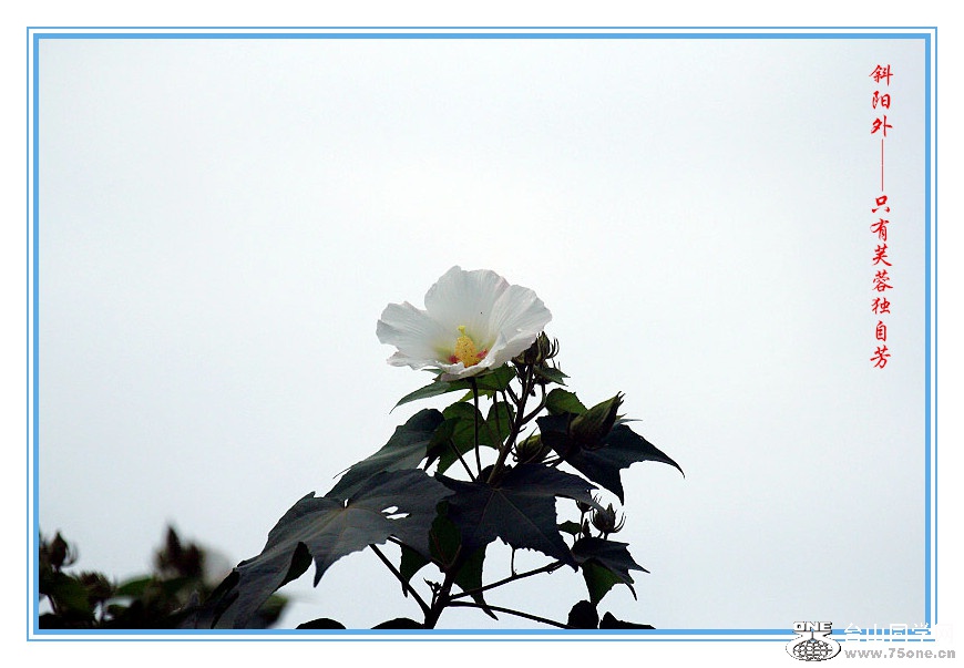 DPP_2015.10.2-20530_.jpg