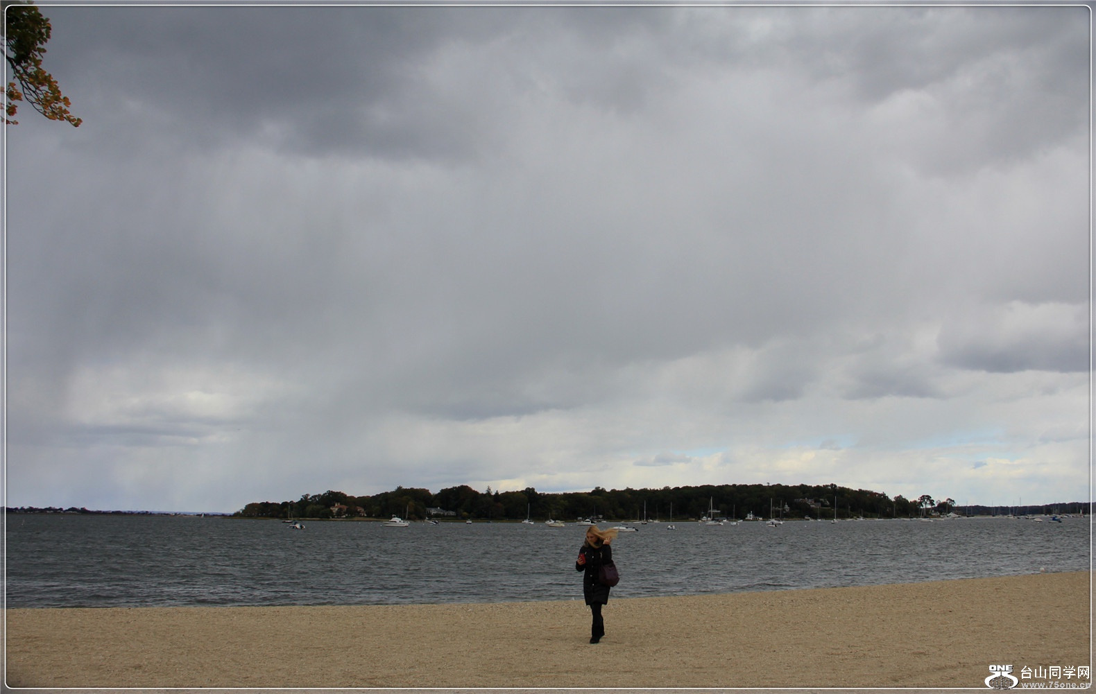 IMG_5183a - Copy.jpg
